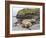 Male Southern elephant seal after breeding period on the Falkland Islands.-Martin Zwick-Framed Photographic Print