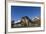 Male Southern Elephant Seal Pups (Mirounga Leonina) Mock-Fighting, Gold Harbor, South Georgia-Michael Nolan-Framed Photographic Print