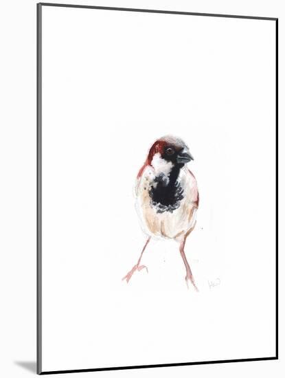 Male Sparrow I, 2022, (Watercolour Painting)-Helen White-Mounted Giclee Print