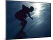 Premium Photographic Print