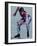 Male Speed Skater in Action at the Start-null-Framed Photographic Print