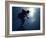 Male Speed Skater in Action at the Start-null-Framed Photographic Print