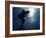 Male Speed Skater in Action at the Start-null-Framed Photographic Print