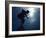 Male Speed Skater in Action at the Start-null-Framed Photographic Print