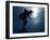 Male Speed Skater in Action at the Start-null-Framed Photographic Print