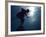 Male Speed Skater in Action at the Start-null-Framed Photographic Print