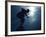 Male Speed Skater in Action at the Start-null-Framed Photographic Print