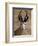 Male Springbok (Antidorcas Marsupialis), Kgalagadi Transfrontier Park, South Africa-James Hager-Framed Photographic Print