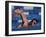 Male Swimmer Competing in a Freestyle Race-null-Framed Photographic Print