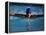 Male Swimmer Competing in Abutterfly Race-null-Framed Premier Image Canvas
