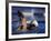 Male Swimmer in Action-null-Framed Photographic Print