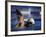 Male Swimmer in Action-null-Framed Photographic Print