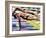 Male Swimmers at the Start of a Race-null-Framed Photographic Print