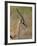 Male Thomsons Gazelle, Masai Mara National Reserve-James Hager-Framed Photographic Print