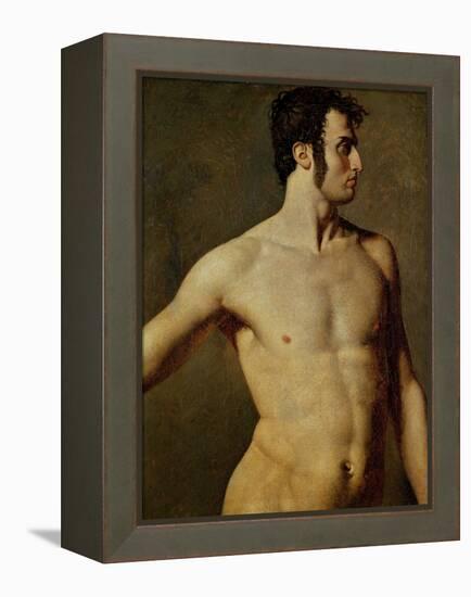 Male Torso-Jean-Auguste-Dominique Ingres-Framed Premier Image Canvas