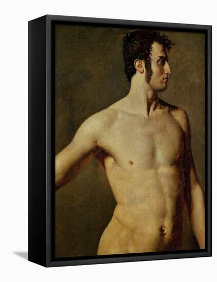 Male Torso-Jean-Auguste-Dominique Ingres-Framed Premier Image Canvas