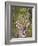 Male Water Buck, Maasai Mara, Kenya-Joe Restuccia III-Framed Photographic Print