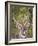 Male Water Buck, Maasai Mara, Kenya-Joe Restuccia III-Framed Photographic Print