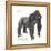 Male Western Lowland Gorilla (Gorilla Gorilla Gorilla), Ape, Mammals-Encyclopaedia Britannica-Framed Stretched Canvas