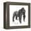 Male Western Lowland Gorilla (Gorilla Gorilla Gorilla), Ape, Mammals-Encyclopaedia Britannica-Framed Stretched Canvas