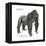 Male Western Lowland Gorilla (Gorilla Gorilla Gorilla), Ape, Mammals-Encyclopaedia Britannica-Framed Stretched Canvas