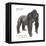 Male Western Lowland Gorilla (Gorilla Gorilla Gorilla), Ape, Mammals-Encyclopaedia Britannica-Framed Stretched Canvas