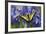 Male Western Tiger Swallowtail Butterfly-Darrell Gulin-Framed Photographic Print