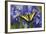 Male Western Tiger Swallowtail Butterfly-Darrell Gulin-Framed Photographic Print