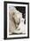 Male White Lion And Cub-Tony Camacho-Framed Photographic Print