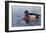 Male Wood Duck-Andrew Kiss-Framed Art Print