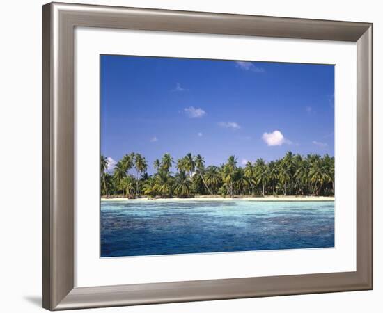 Malediven, Meer, Palmenstrand, Indischer Ozean, Palmeninsel, Detail, Strand-Thonig-Framed Photographic Print