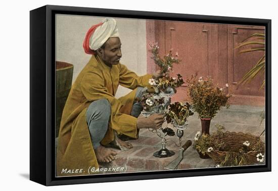 Malee, North African Gardener with Bouquets-null-Framed Stretched Canvas