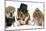 Males Bulldog With Two Females All Dressed In Formal Clothing Isolated On White Background-Willee Cole-Mounted Photographic Print