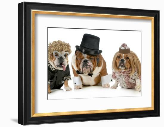 Males Bulldog With Two Females All Dressed In Formal Clothing Isolated On White Background-Willee Cole-Framed Photographic Print