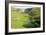 Malham Cove, Yorkshire Dales-Bob Gibbons-Framed Photographic Print