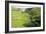 Malham Cove, Yorkshire Dales-Bob Gibbons-Framed Photographic Print