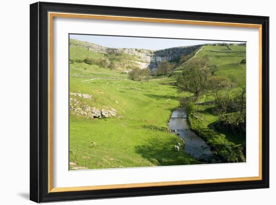 Malham Cove, Yorkshire Dales-Bob Gibbons-Framed Photographic Print