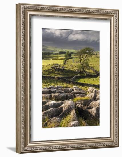 Malham Moor, with stormy skies over Winskill and Ribblesdale, Yorkshire Dales National Park-Ross Hoddinott-Framed Photographic Print