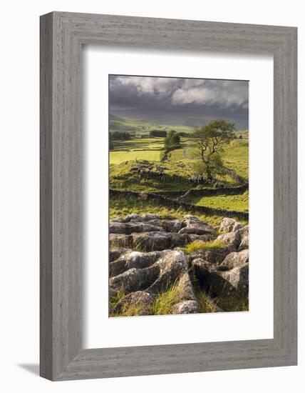 Malham Moor, with stormy skies over Winskill and Ribblesdale, Yorkshire Dales National Park-Ross Hoddinott-Framed Photographic Print