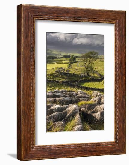 Malham Moor, with stormy skies over Winskill and Ribblesdale, Yorkshire Dales National Park-Ross Hoddinott-Framed Photographic Print