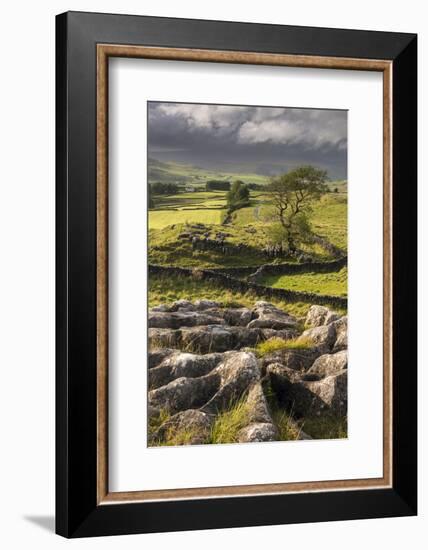 Malham Moor, with stormy skies over Winskill and Ribblesdale, Yorkshire Dales National Park-Ross Hoddinott-Framed Photographic Print