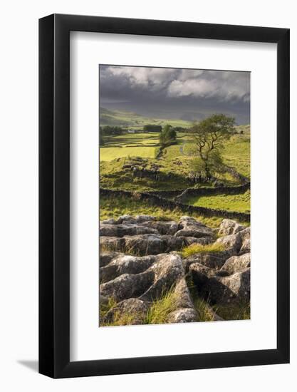 Malham Moor, with stormy skies over Winskill and Ribblesdale, Yorkshire Dales National Park-Ross Hoddinott-Framed Photographic Print