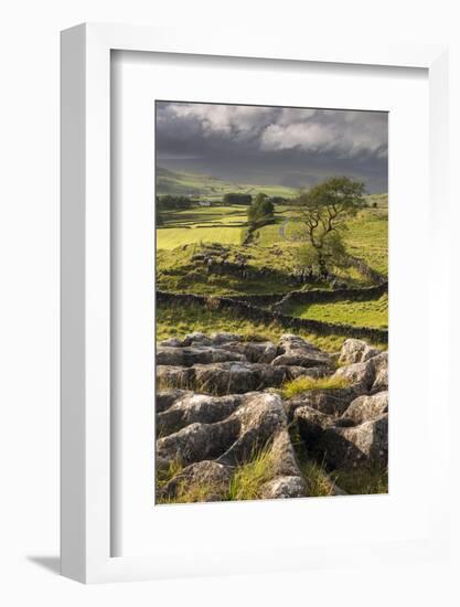 Malham Moor, with stormy skies over Winskill and Ribblesdale, Yorkshire Dales National Park-Ross Hoddinott-Framed Photographic Print