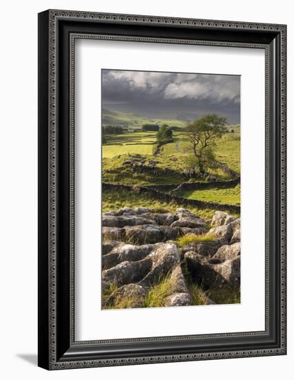 Malham Moor, with stormy skies over Winskill and Ribblesdale, Yorkshire Dales National Park-Ross Hoddinott-Framed Photographic Print