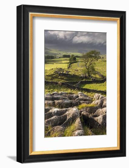 Malham Moor, with stormy skies over Winskill and Ribblesdale, Yorkshire Dales National Park-Ross Hoddinott-Framed Photographic Print