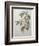 Mali Cashew-Pierre-Joseph Redoute-Framed Premium Giclee Print