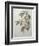 Mali Cashew-Pierre-Joseph Redoute-Framed Premium Giclee Print