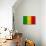 Mali Flag Design with Wood Patterning - Flags of the World Series-Philippe Hugonnard-Premium Giclee Print displayed on a wall