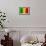 Mali Flag Design with Wood Patterning - Flags of the World Series-Philippe Hugonnard-Framed Art Print displayed on a wall