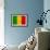 Mali Flag Design with Wood Patterning - Flags of the World Series-Philippe Hugonnard-Framed Art Print displayed on a wall